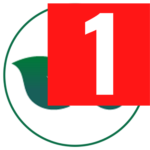 ffitcutetips.pages.dev favicon